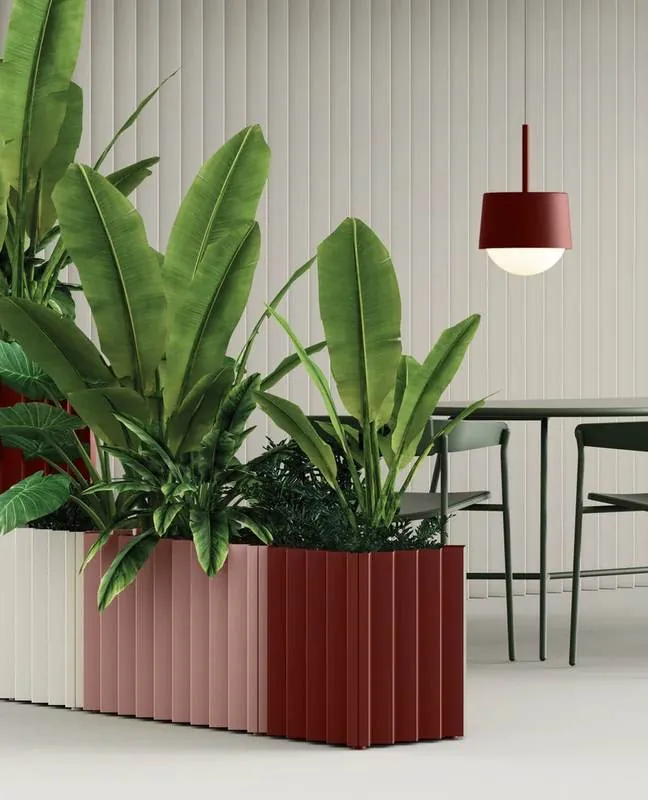 Planters Fluted planters with tropical plants in a café