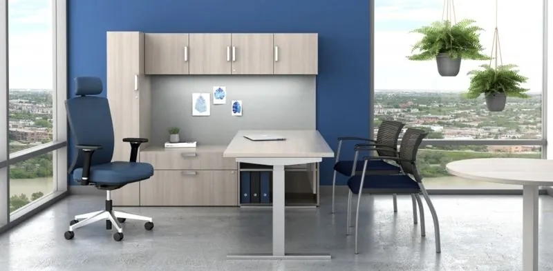 Private Office Private office with blue accent wall, wall storage and height-adjustable desk