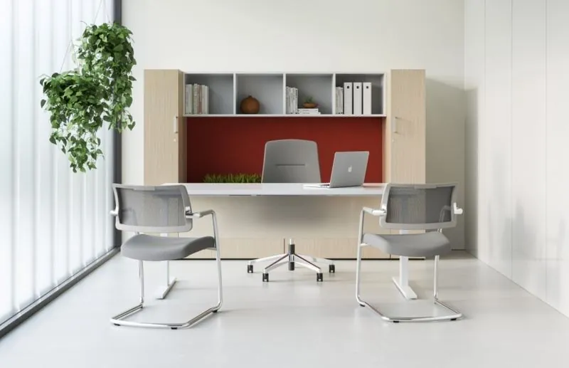 Private Office Private office with light wood storage wall, red accent and guest chairs