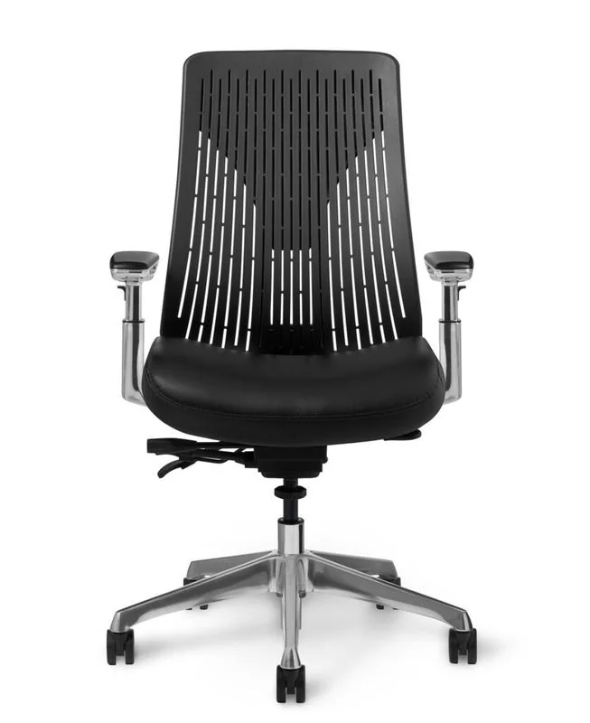 Flex-Back Executive Chair Black flex-back executive task chair on aluminum base