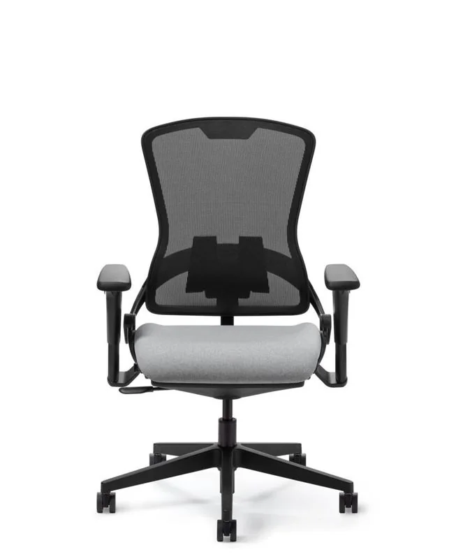 Ergonomic Mesh Chair Black mesh ergonomic chair with light gray seat