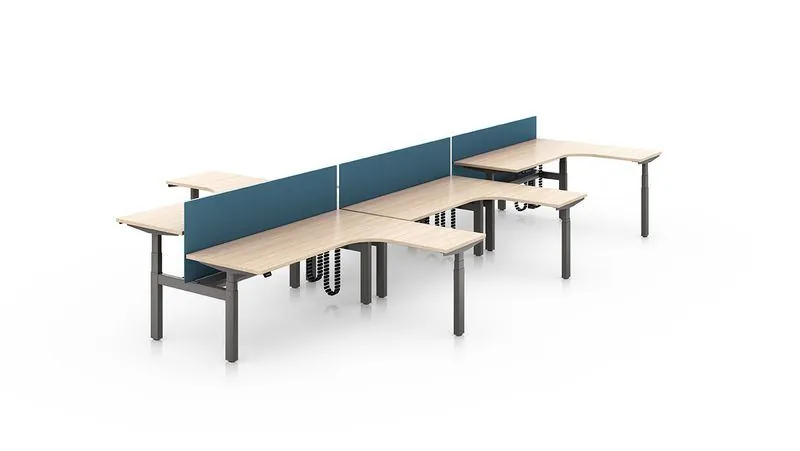 Benching Desk Four-person benching with blue privacy screens