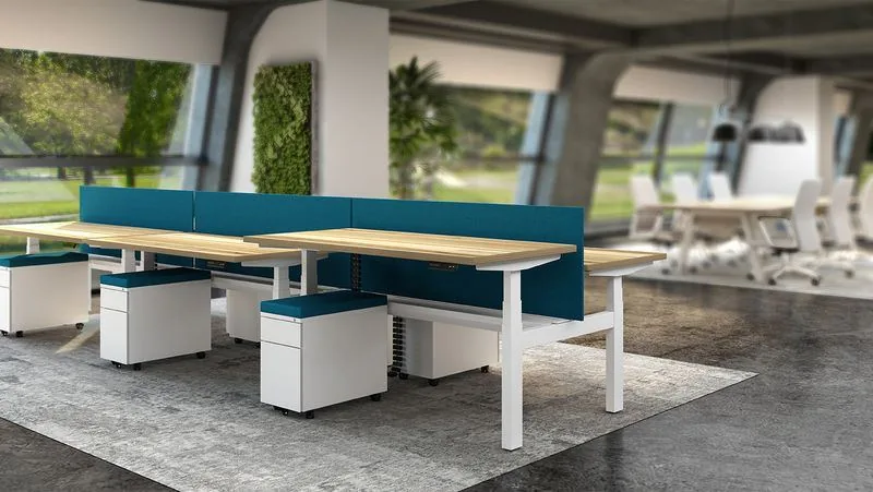 Height-Adjustable Benching Height-adjustable benching workstations with teal privacy screens and a living wall