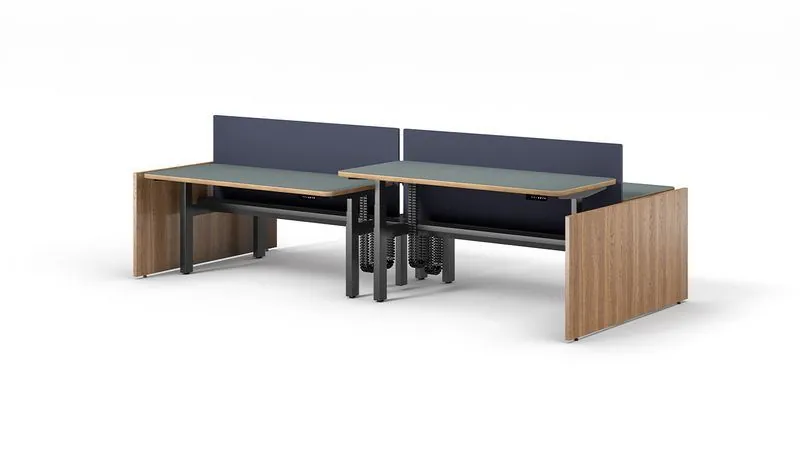 Benching Desk Two-person benching with navy screens and walnut end panels