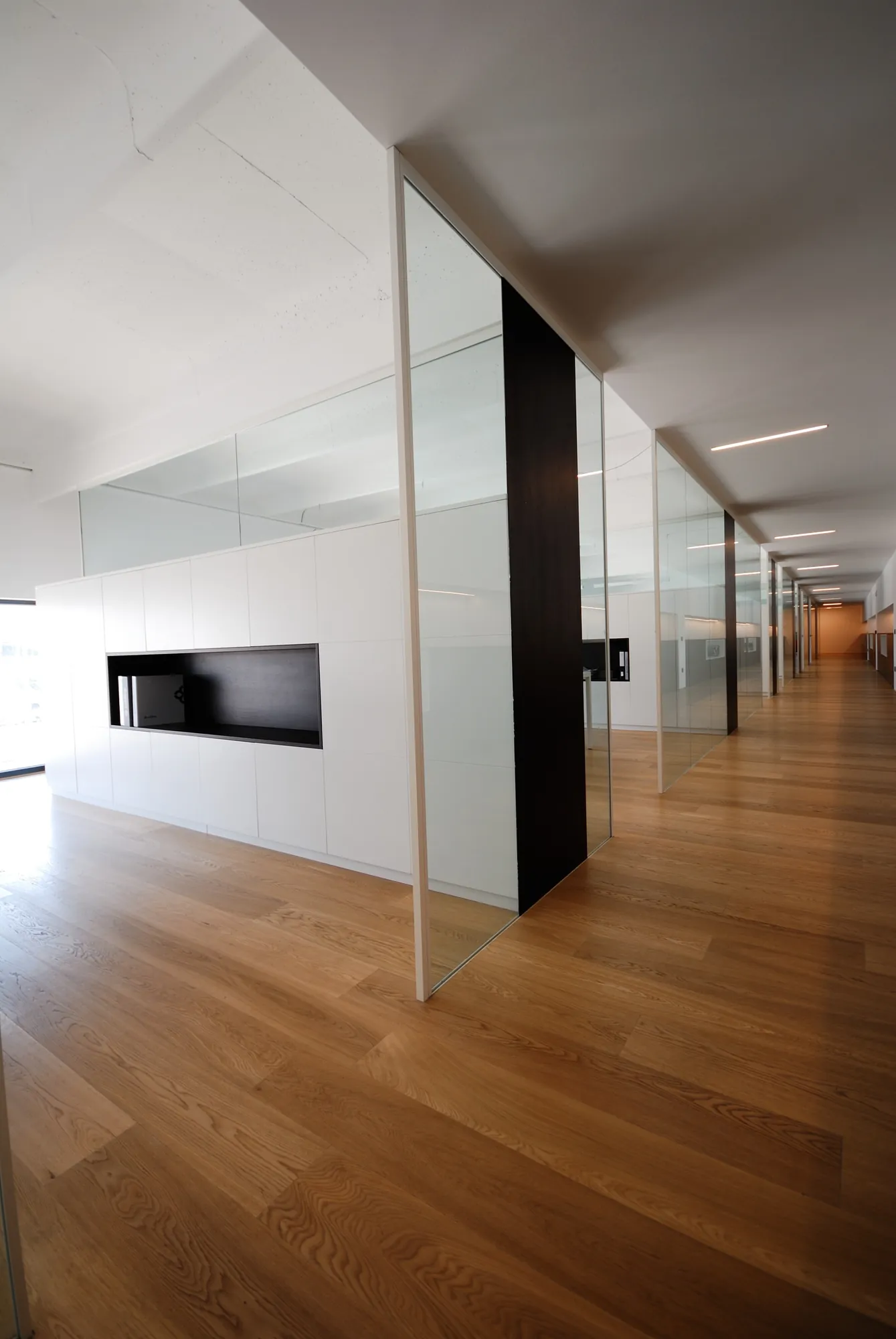Glass and Solid Corridor Mono glass partitions with dark solid panels along a corridor