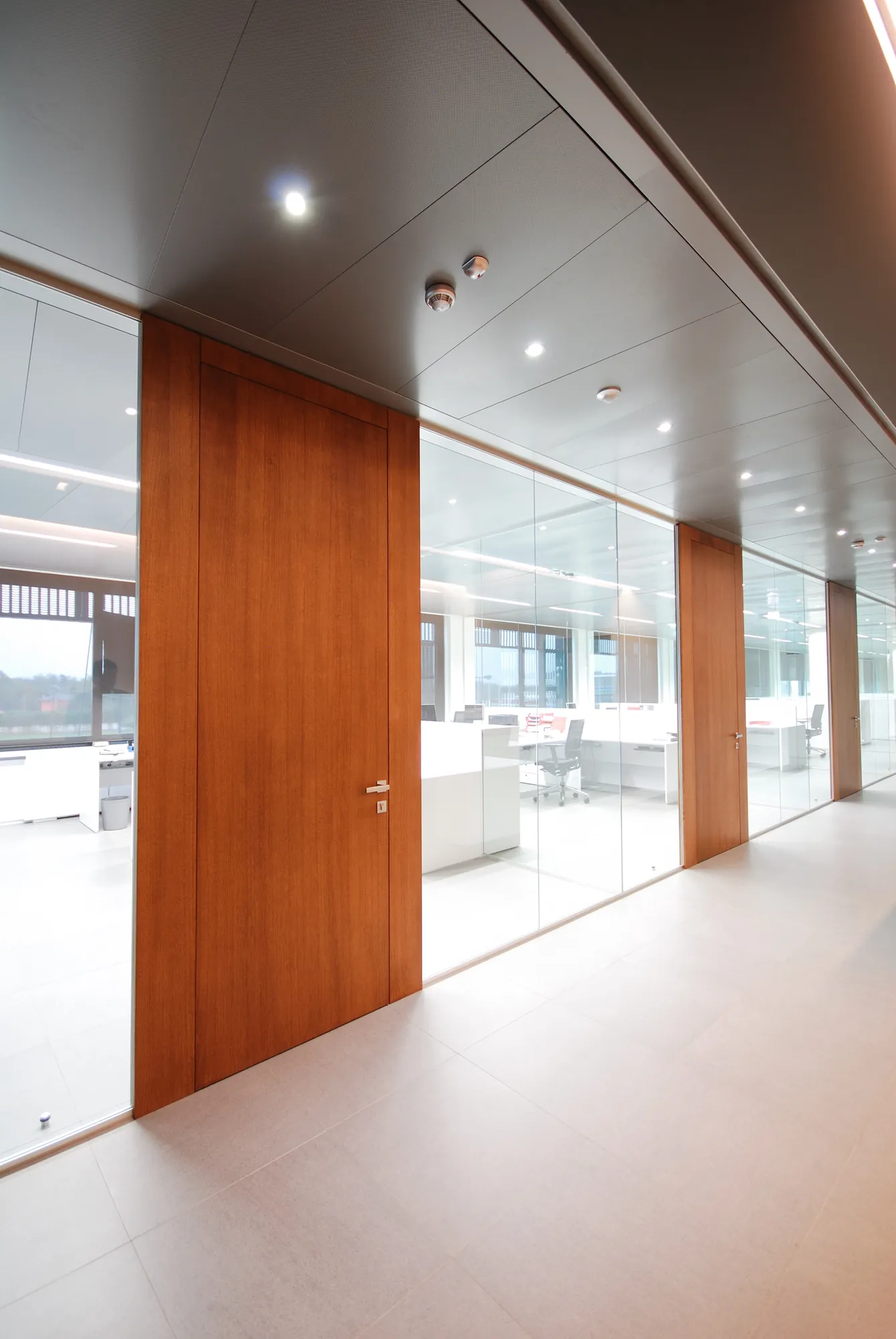 Glass Wall with Wood Door Mono glass wall with full-height wood door
