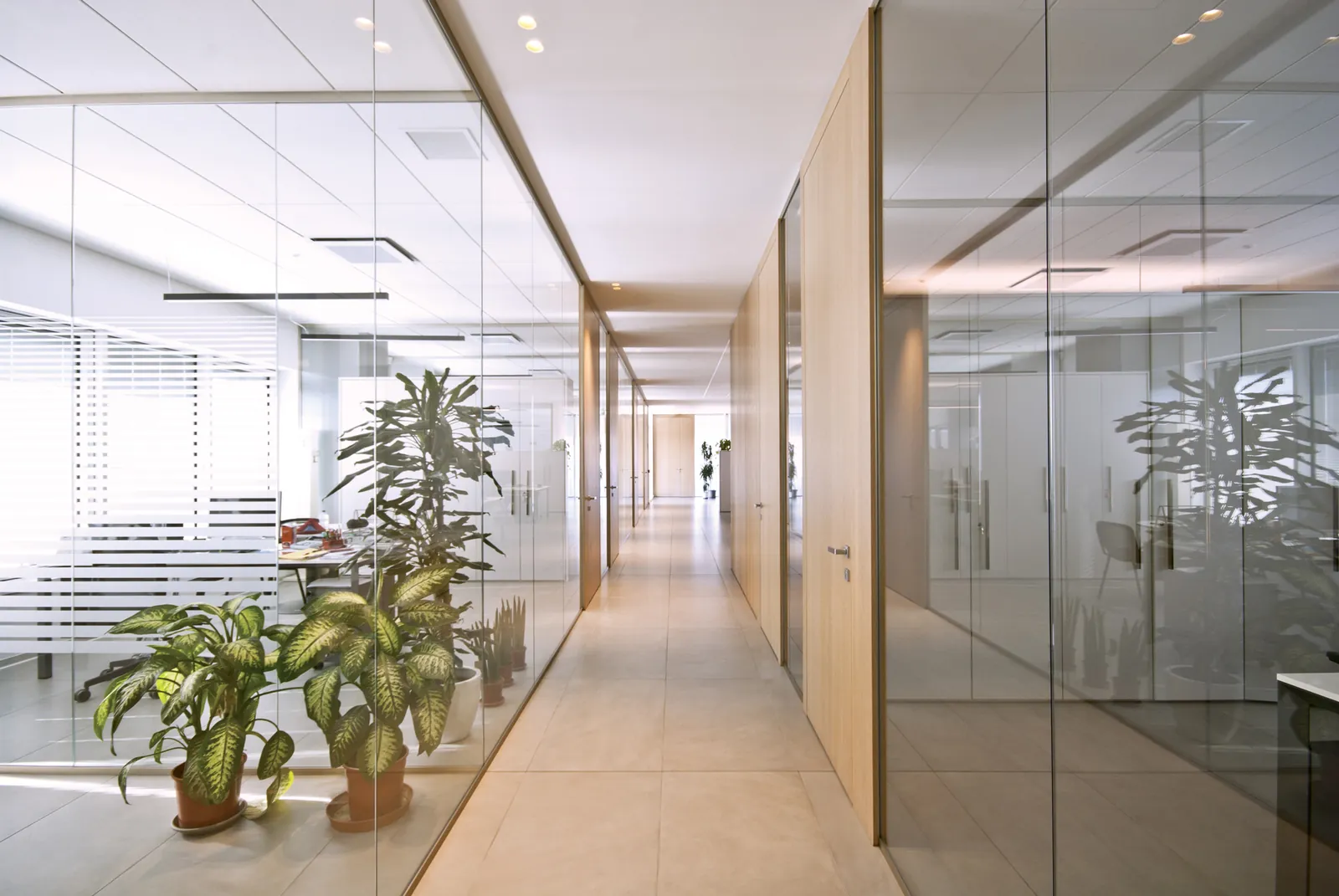 Glass and Solid Corridor Corridor of glass and wood-look solid wall partitions